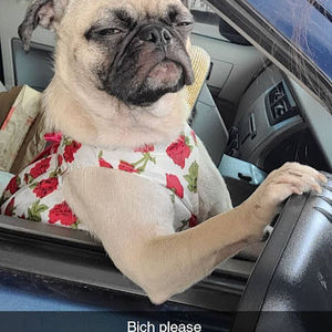 Meet your Posher, Elizabeth